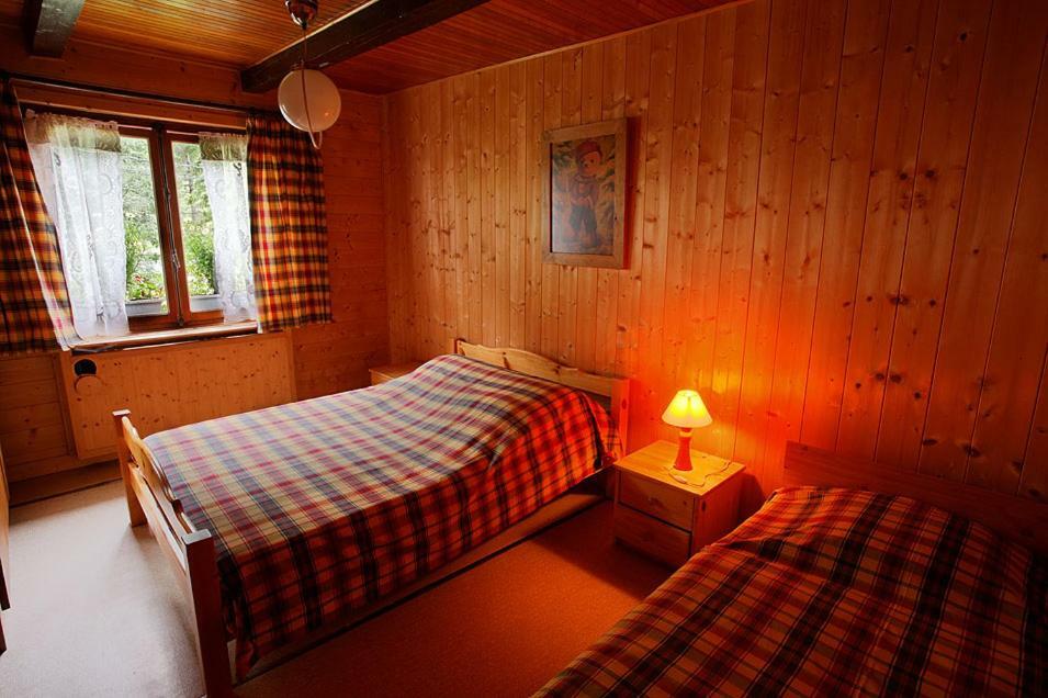 Les Allamands Morzine Zewnętrze zdjęcie